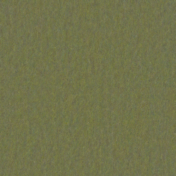 B72 - Moss Green